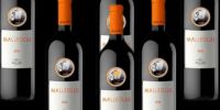 Malleolus Vin de réserve  6 bouteilles