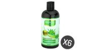 Shampoing à l'aloe vera x6